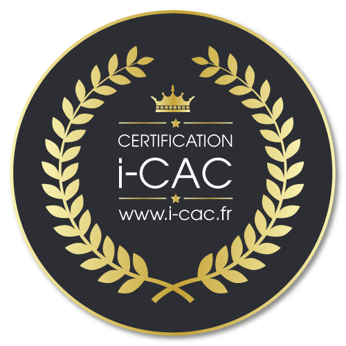 Je suis un Artiste Peintre Professionnel certifié I-CAC