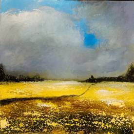Daciana ANDRONE - yellow field.jfif