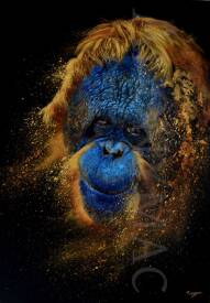 Anthony Macouin - Anonymac - Peinture-animaux-orang outan 2 (3).jpg