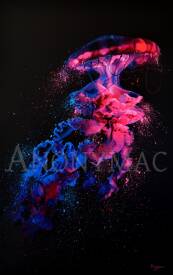 Anthony Macouin - Anonymac - Peinture-animaux-meduse.JPG