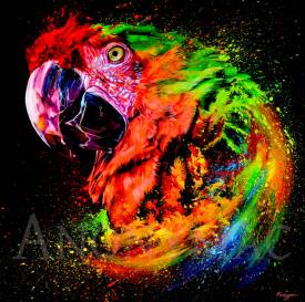 Anthony Macouin - Anonymac - peinture-animaux-perroquet-2.JPG