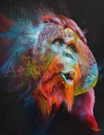 Anthony Macouin - Anonymac - Peinture-animaux-orang outan.JPG