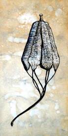 Gilles ARNOULD - PEINTURES graines extraits.009.jpeg