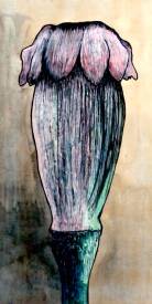 Gilles ARNOULD - PEINTURES graines extraits.010.jpeg