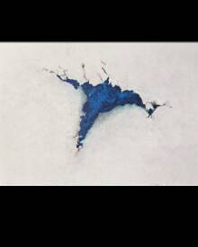 Myriam ARTELIA - Et mainteant que fait-on (2).png