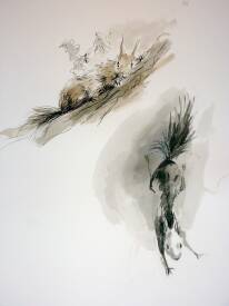 Hélène AVOT - Ecureuils-techniques mixtes-2007.JPG