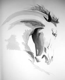 Hélène AVOT - Portrait de cheval encre de chine.JPG