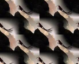 Missy Avril - star (3).jpg