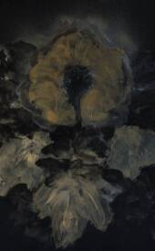 Missy Avril - 1764155986114.jpg