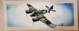 FOrangeart - BALDINOTTI - beaufighter.jpg