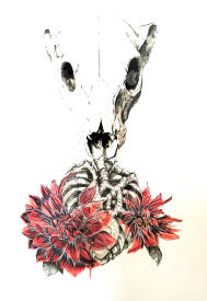 Julie BALSAUX - desdalias pour Algernon.jpg