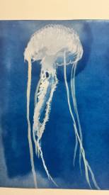 Christine BARBE - Cyanotype sur papier fine Art .30X42 cms. Disponible