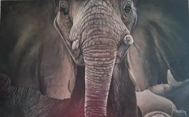 Helen BARENTON - L'éléphant