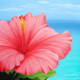 Aline BELLIARD - Hibiscus-min.png