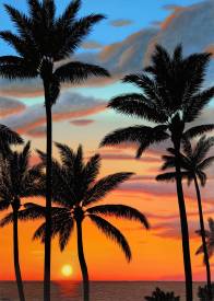 Aline BELLIARD - Sunset paradise.png