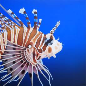 Aline BELLIARD - Tableau poisson exotique rascasse volante Liberté peinture acrylique 40x40 cm aline belliard.jpg