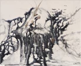 Sylvie BESNARD - mont fuji.jpg