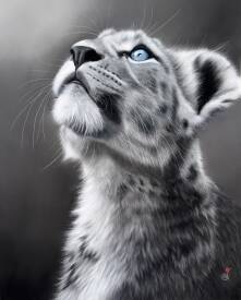 Virginie BOISGERAULT - Madiba