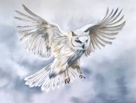 Virginie BOISGERAULT - Envolée de Plumes