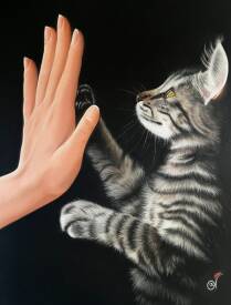 Virginie BOISGERAULT - Le Pacte des âmes