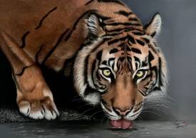 Virginie BOISGERAULT - Le regard de l'eau