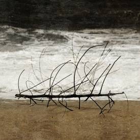 Thierry BOITIER - Dead branch on the beach copie.jpg