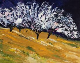 Sophie BOURGON - EFFETS DU SOIR