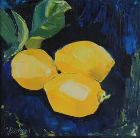 Sophie BOURGON - CARREMENT CITRON