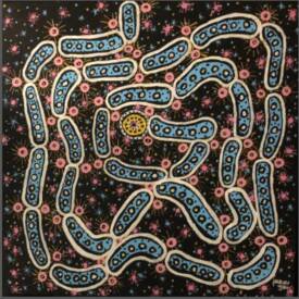 Jacques BRU - Cellules actives