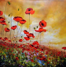 Eric BRUNI - Wild Poppies