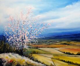 Eric BRUNI - L'amandier en fleurs