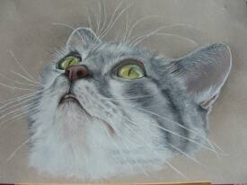 Evelyne CADRE - Doudou