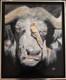 Evelyne CADRE - la mouche et l'oiseau