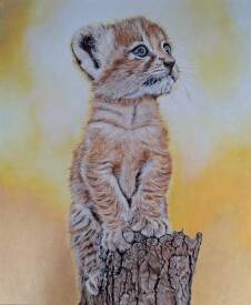 Evelyne CADRE - ti poulbot