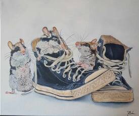 Evelyne CADRE - A l'aise dans les baskets