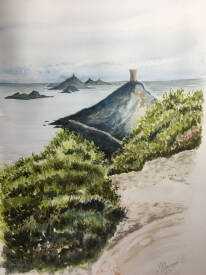 laurence CANICAVE - Sanguinaires (aquarelle)