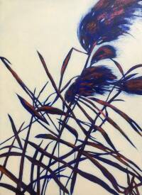 Humbertine CHALMIN - Roseaux n°II  73X100cm.jpg