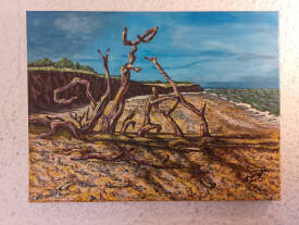 Danièle CHAVANAC - le calme de la plage