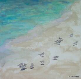 Alain CHAYER - 189 SANDY ISLAND.jpg