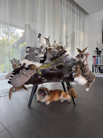 David CINTRACT - D.Cintract