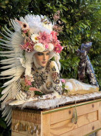 David CINTRACT - D.Cintract