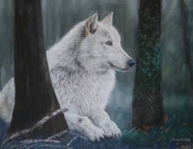Jacqueline CLARISSE - Loup blanc-jacquelineclarisse-fineart-faune sauvage-loup blanc -white wolf- pastel painting - peinture au pastel.JPG