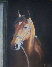 Jacqueline CLARISSE - Poulain pur-sang irlandais - pastelpainting - fineart - portrait animalier- pastel - chevaux - immortaliser - jacquelineclarisse -fineart - colt -thoroughbred - pur-sang.JPG
