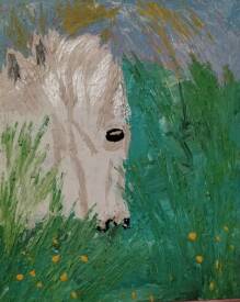 Claudie Savelli - Claudio - Le prince des marais