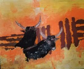 Claudie Savelli - Claudio - Observation