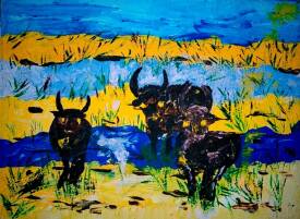 Claudie Savelli - Claudio - Camargue