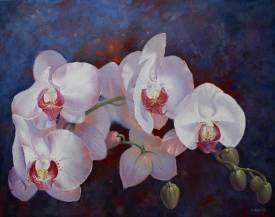 Ludivine COROMINAS - 51.10 ORCHIDEE,FLEUR DE REVE 30F.JPG