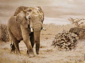 Jean Jacques CURT - jj curt- ballade des éléphants  65x50.jpg