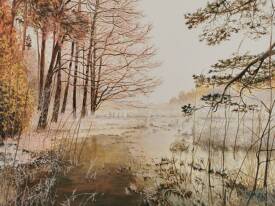 Jean Jacques CURT - bord de lac en hiver 65x50.jpg