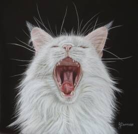 Annie DARROUX - 443.33.25 Ch'A cappella.JPG